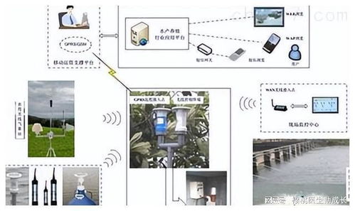 物聯(lián)網(wǎng)技術(shù)在水產(chǎn)養(yǎng)殖系統(tǒng)中提升運(yùn)行穩(wěn)定性的關(guān)鍵技術(shù)開發(fā)